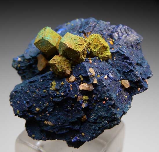 Malachite after Cuprite on Azurite from Blue Mine, Chessy, Rhone-Alpes, France [db_pics/pics/e633b.jpg]