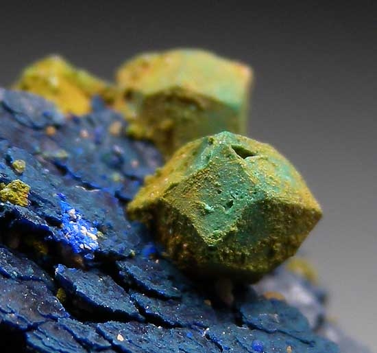 Malachite after Cuprite on Azurite from Blue Mine, Chessy, Rhone-Alpes, France [db_pics/pics/e633d.jpg]