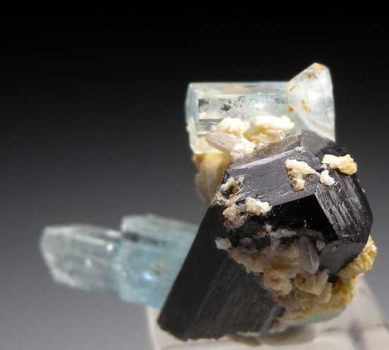 Aquamarine on Schorl from Erongo Mountians, Namibia [db_pics/pics/er102b.jpg]