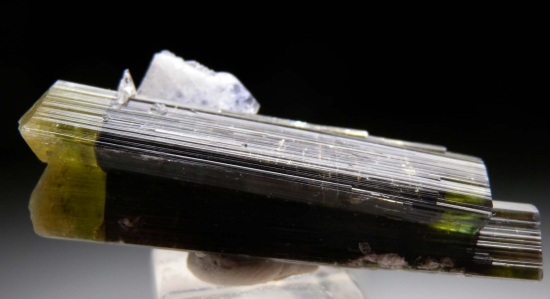 Tourmaline with Albite from Stak Nal, Skardu, Pakistan [db_pics/pics/fm110a.jpg]