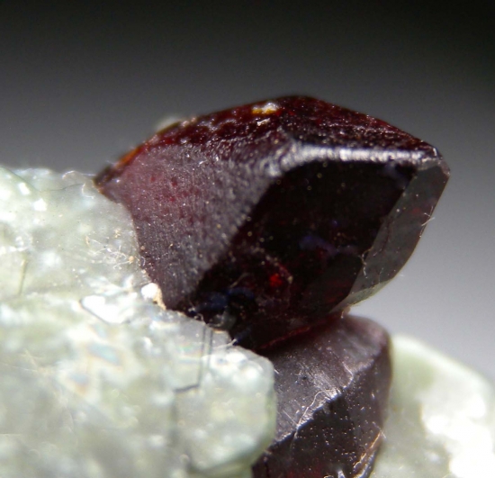 Chondrodite with Clinochlore from Kokcha Valley, Badakhshan, Afghanistan [db_pics/pics/fm114e.jpg]