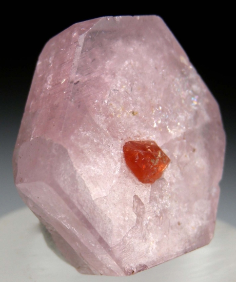 Spessartine on Apatite from Skardu, Pakistan [db_pics/pics/fm118b.jpg]