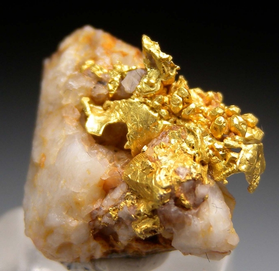 Gold on Quartz from near Mariposa, Mariposa Co., California, USA [db_pics/pics/fm122a.jpg]