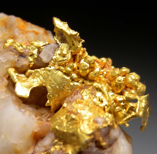 Gold on Quartz from near Mariposa, Mariposa Co., California, USA [db_pics/pics/fm122c.jpg]