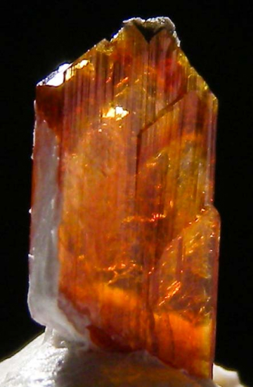 Raspite from Broken Hill, NSW, Australia [db_pics/pics/fm131b.jpg]