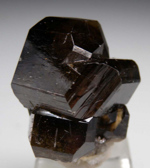 Cassiterite with Quartz from Viloco Mine, Bolivia [db_pics/pics/fm132b.jpg]