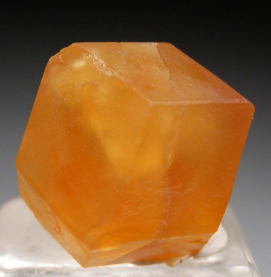 Grossular from Guadalajara, Jalisco, Mexico [db_pics/pics/fm184c.jpg]