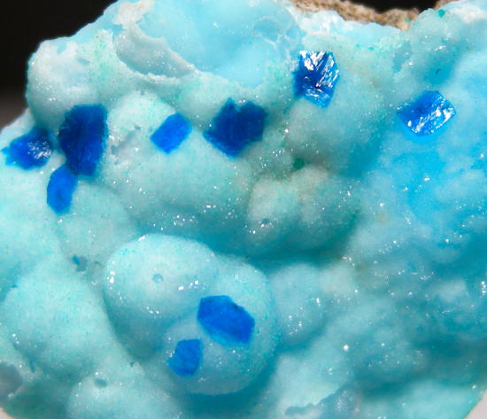 Veszelyite on Hemimorphite from Palabanda quarries, Mfouati, Bouenza Department, Republic of the Congo [db_pics/pics/fm199d.jpg]