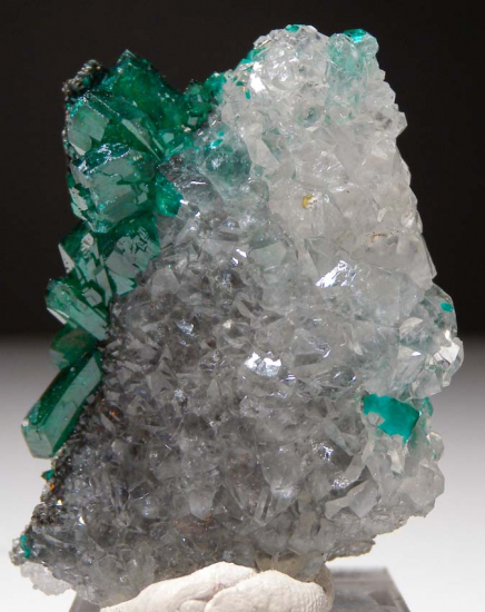 Dioptase on Quartz from Sanda Mine, Mindouli District, Pool Dept., Rep. of Congo [db_pics/pics/fm212b.jpg]