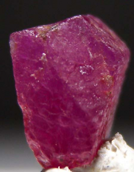 Ruby from Orange Co., New York, USA [db_pics/pics/fm223a.jpg]
