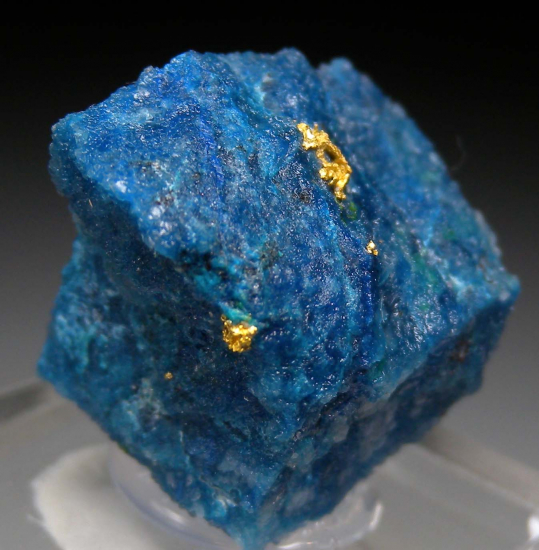 Gold in Shattuckite from Okozondje, near Otjokavare, Kunene Prov., Namibia [db_pics/pics/fm241b.jpg]
