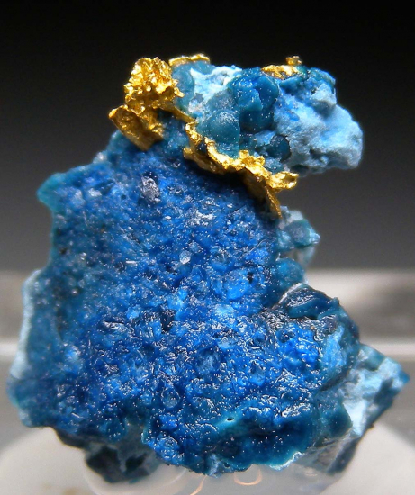 Gold in Shattuckite from Okozondje, near Otjokavare, Kunene Prov., Namibia [db_pics/pics/fm242a.jpg]