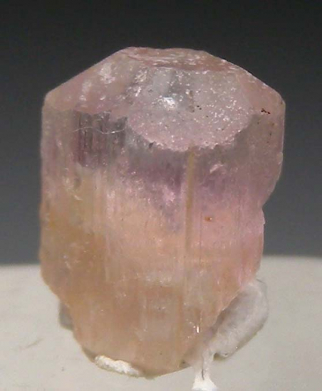 Poudretteite from Mogok, Myanmar [db_pics/pics/fm247b.jpg]