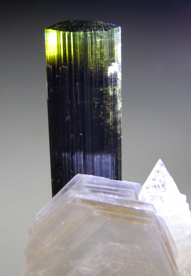 Tourmaline from Stak Nala, Skardu, Pakistan [db_pics/pics/fm249b.jpg]