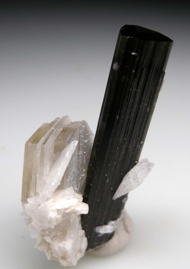 Tourmaline from Stak Nala, Skardu, Pakistan [db_pics/pics/fm249c.jpg]