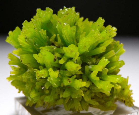 Pyromorphite from Daoping Mine, Guangxi, China [db_pics/pics/fm324a.jpg]