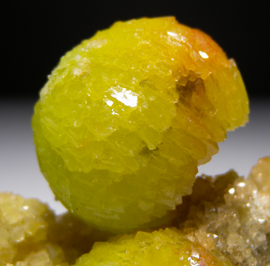 Adamite from Mina Oujela, Mapimi, Durango, Mexico [db_pics/pics/fm329d.jpg]