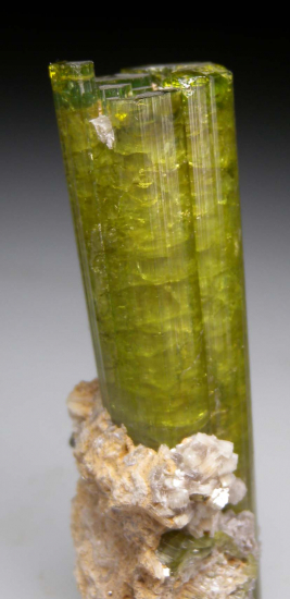 Tourmaline from Urubu Mine, Itinga, Minas Gerais, Brazil [db_pics/pics/fm369c.jpg]