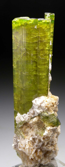 Tourmaline from Urubu Mine, Itinga, Minas Gerais, Brazil [db_pics/pics/fm369d.jpg]