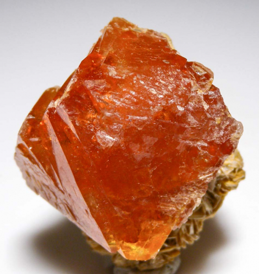 Scheelite from Mt Xuebaoding, Ping Wu, Sichuan Prov., China [db_pics/pics/fm385c.jpg]