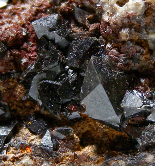 Scorodite with Austinite from Mina Oujela, Mapimi, Durango, Mexico [db_pics/pics/fm394e.jpg]