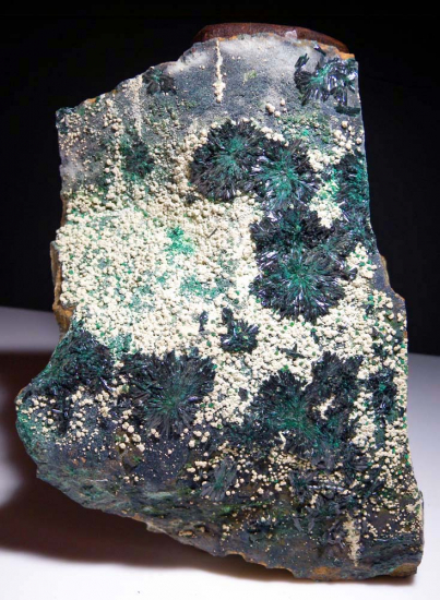 Atacamite from La Farola Mine, Copiapo, Chile [db_pics/pics/fm396a.jpg]