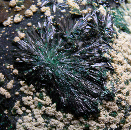Atacamite from La Farola Mine, Copiapo, Chile [db_pics/pics/fm396b.jpg]