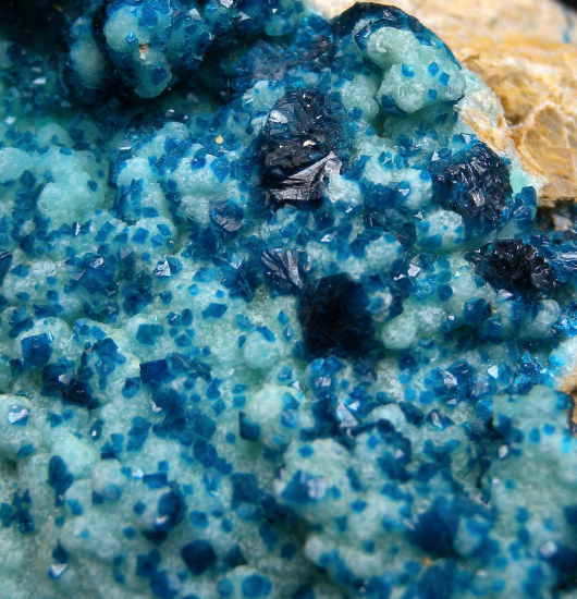 Veszelyite on Hemimorphite from Palabanda quarries, Mfouati, Bouenza Department, Republic of the Congo [db_pics/pics/fm422c.jpg]