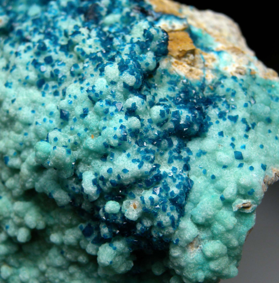 Veszelyite on Hemimorphite from Palabanda quarries, Mfouati, Bouenza Department, Republic of the Congo [db_pics/pics/fm422d.jpg]