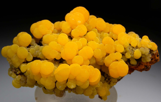 Mimetite from San Pedro Corralitos, Chihuahua, Mexico [db_pics/pics/fm444a.jpg]