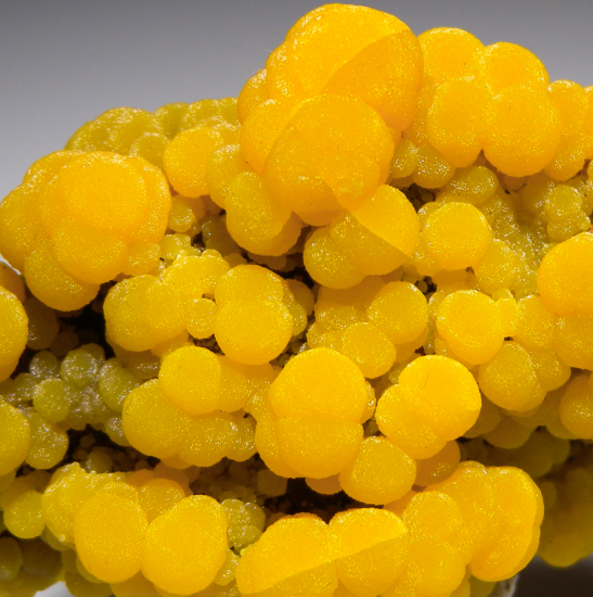 Mimetite from San Pedro Corralitos, Chihuahua, Mexico [db_pics/pics/fm444d.jpg]