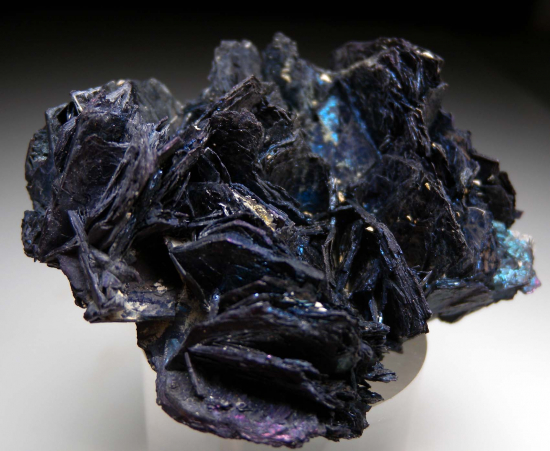 Covellite from Butte, Silver Bow Co., Montana, USA [db_pics/pics/fm464c.jpg]