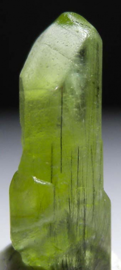 Peridot from Sapat Gali, Mansehra District, Pakistan [db_pics/pics/fm481c.jpg]