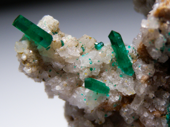 Willemite and Dioptase from Gotala, near Mindouli, Pool Dept., Rep. of Congo [db_pics/pics/fm499e.jpg]