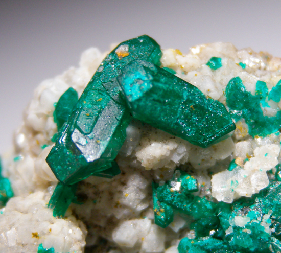 Willemite and Dioptase from Gotala, near Mindouli, Pool Dept., Rep. of Congo [db_pics/pics/fm517e.jpg]