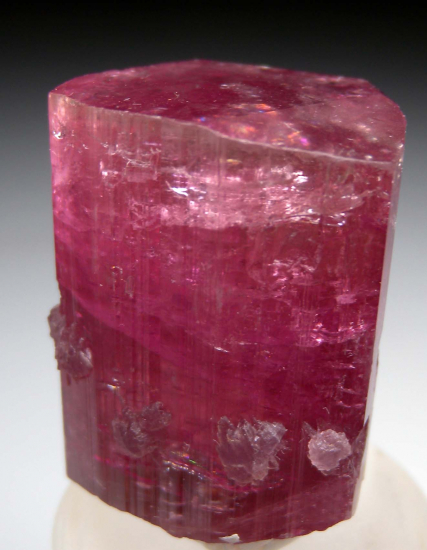 Lepidolite on Tourmaline from Himalaya Mine, Mesa Grande, San Diego Co., California, USA [db_pics/pics/fm528a.jpg]