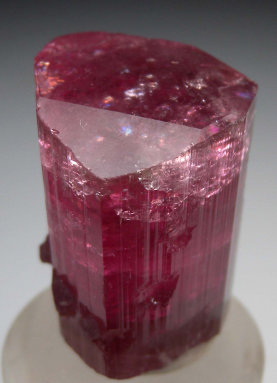 Lepidolite on Tourmaline from Himalaya Mine, Mesa Grande, San Diego Co., California, USA [db_pics/pics/fm528c.jpg]