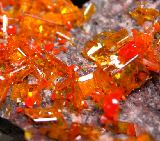 Wulfenite with Mimetite from Rowley Mine, Maricopa Co., Arizona, USA [db_pics/pics/fm530d.jpg]