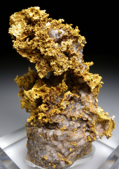 Gold on Quartz from Mother Lode, Mariposa Co., California, USA [db_pics/pics/fm538c.jpg]