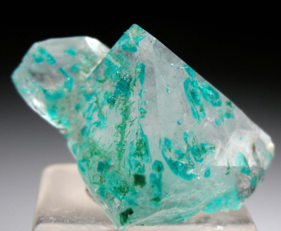 Dioptase on/in Quartz from Okatumba Mine, Kaokaveld, Namibia [db_pics/pics/fm540a.jpg]