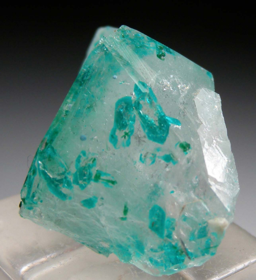 Dioptase on/in Quartz from Okatumba Mine, Kaokaveld, Namibia [db_pics/pics/fm540b.jpg]