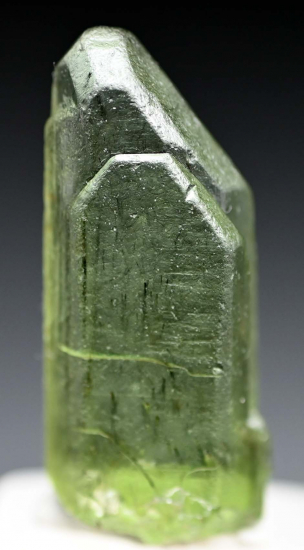 Peridot from Sapat Gali, Mansehra District, Pakistan [db_pics/pics/fm547a.jpg]