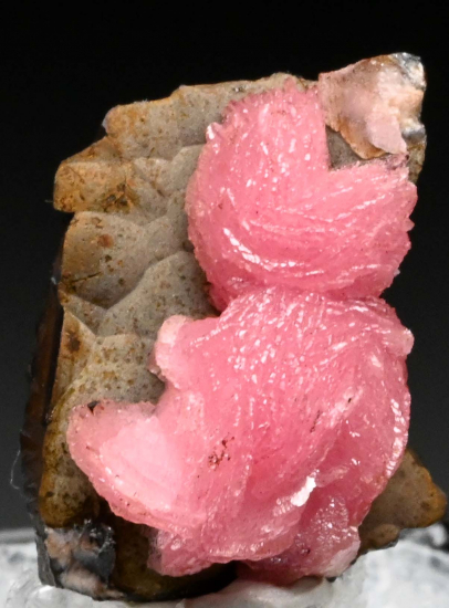 Rhodochrosite from N'Chwanning Mine, Kuruman, South Africa [db_pics/pics/fm566c.jpg]