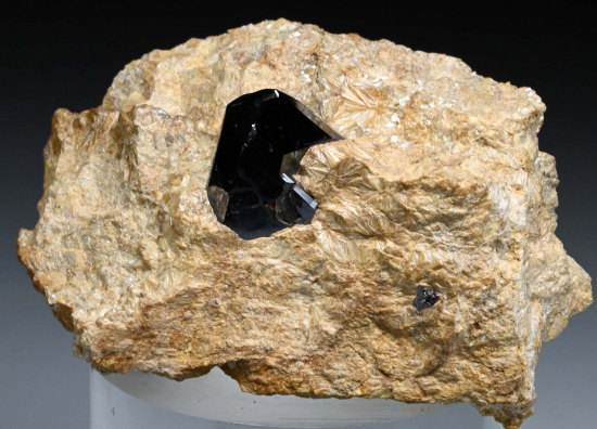 Rutile in Pyrophyllite from Champion Mine, Mono Co., California, USA [db_pics/pics/fm573a.jpg]