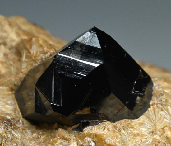 Rutile in Pyrophyllite from Champion Mine, Mono Co., California, USA [db_pics/pics/fm573d.jpg]