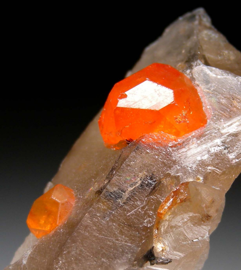 Spessartine on Quartz from Minas Gerais, Brazil [db_pics/pics/fm626b.jpg]