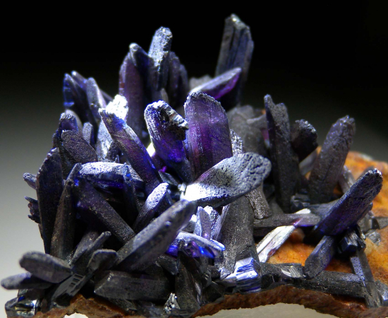 Vivianite from Blackbird Mine, Lemhi Co., Idaho, USA [db_pics/pics/fm637c.jpg]