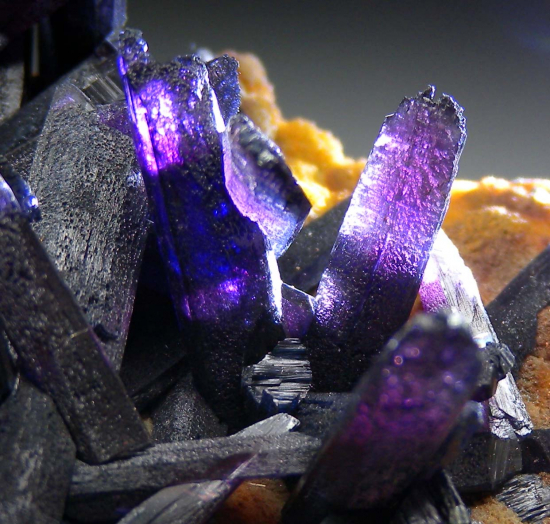 Vivianite from Blackbird Mine, Lemhi Co., Idaho, USA [db_pics/pics/fm637d.jpg]