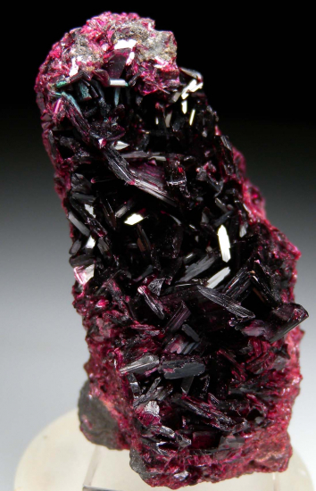 Erythrite from Bou Azzer, Draa-Tafilalet, Morocco [db_pics/pics/fm663a.jpg]