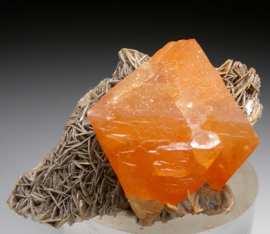 Scheelite from Mt Xuebaoding, Ping Wu, Sichuan Prov., China [db_pics/pics/fm669a.jpg]